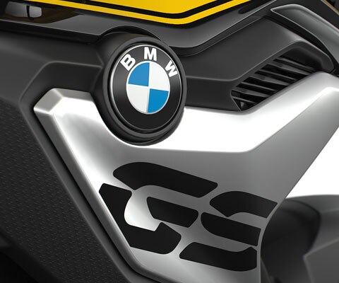 Vediamo la copertura del radiatore con logo GS in dettaglio.