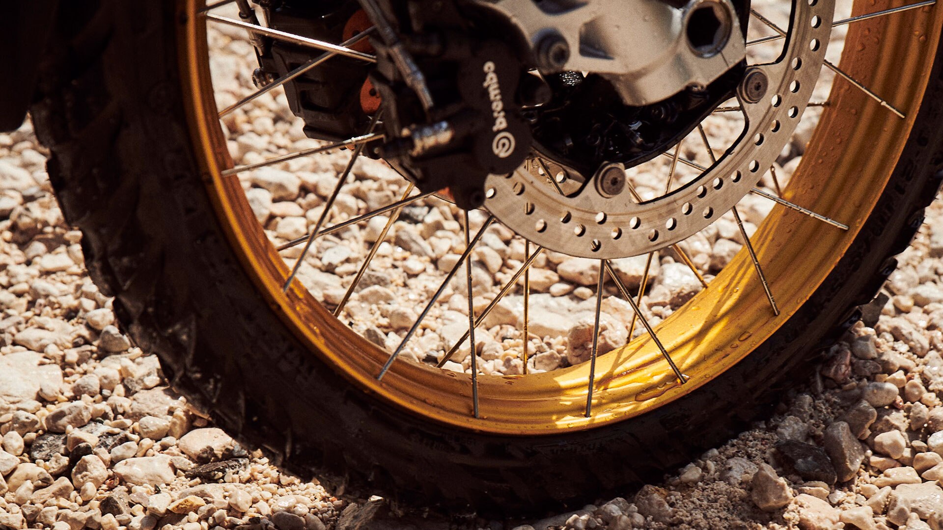 I dettagli della ruota anteriore della nuova BMW F 850 GS Adventure