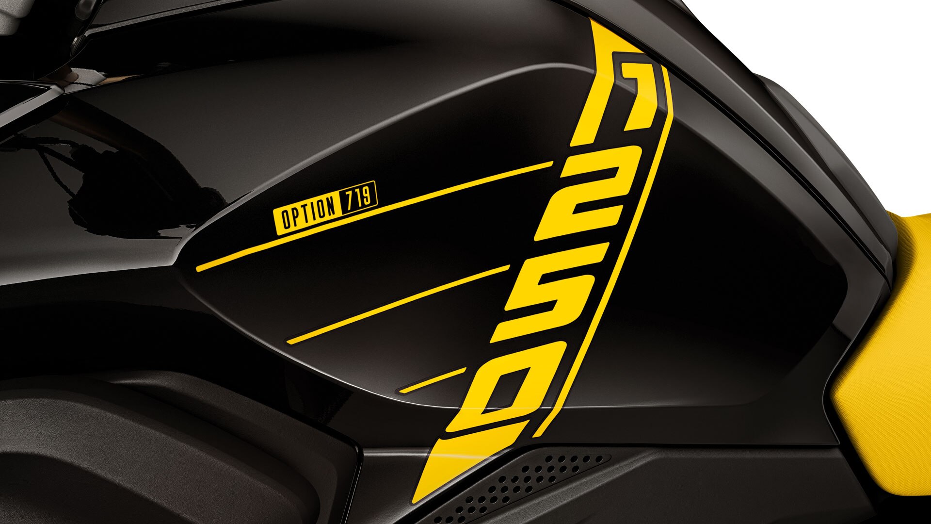 Vediamo la R 1250 GS dall'alto con scritta 1250 e il motore boxer sporgente con coperchio della testata cilindri dell'Option 719