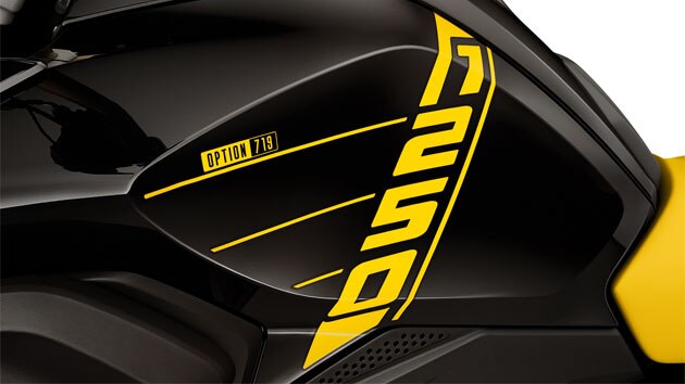 Vediamo la R 1250 GS dall'alto con scritta 1250 e il motore boxer sporgente con coperchio della testata cilindri dell'Option 719