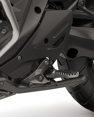 Elementi da Enduro come protezione motore più grande, leva del freno pieghevole e pedale del cambio regolabile, poggiapiedi Enduro inclusi, poggiapiedi del passeggero.