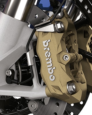 Collage della R 1250 RS.