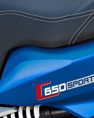 Dettagli C 650 Sport
